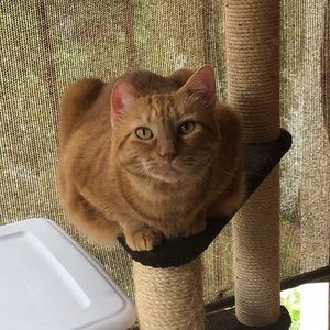 Meet your Posher, Jill